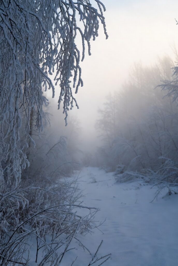 Winter wraps its gentle embrace